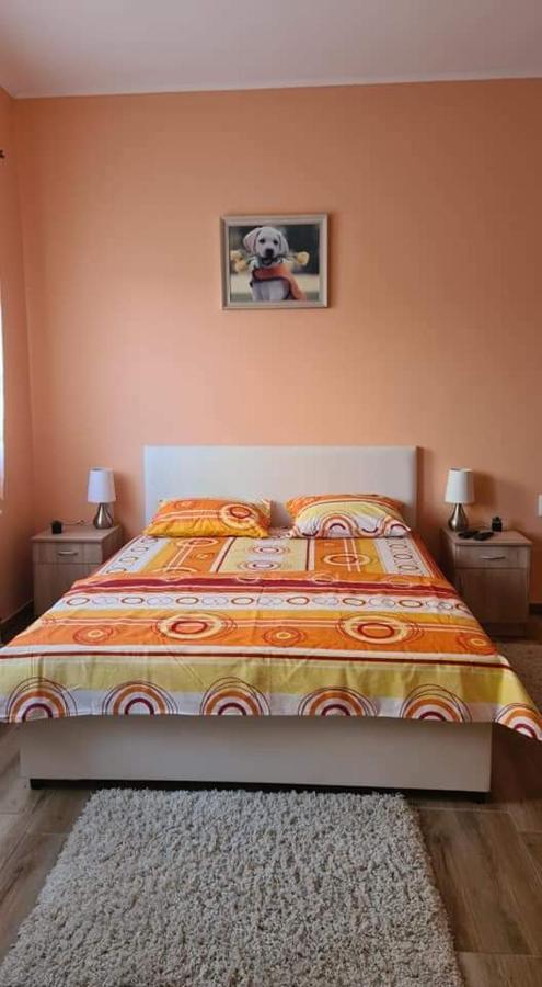 Ales Apartman 松博尔 外观 照片