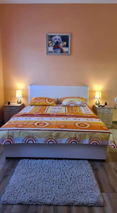 Ales Apartman 松博尔 外观 照片