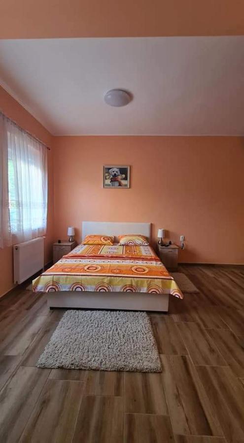 Ales Apartman 松博尔 外观 照片