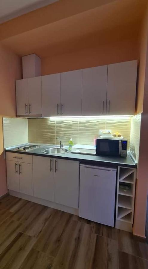 Ales Apartman 松博尔 外观 照片