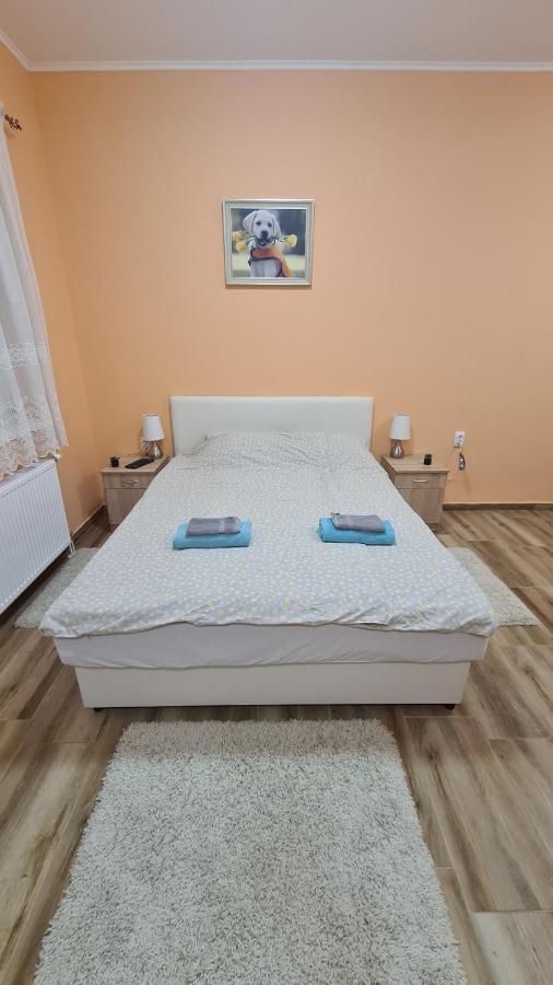 Ales Apartman 松博尔 外观 照片