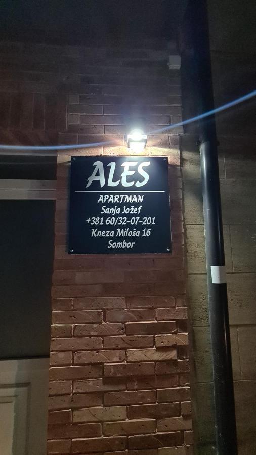Ales Apartman 松博尔 外观 照片