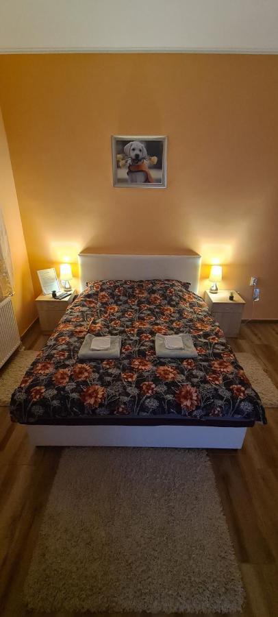 Ales Apartman 松博尔 外观 照片